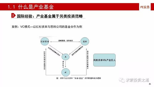 產(chǎn)業(yè)基金的建立、投資策略、投后管理與風險控制